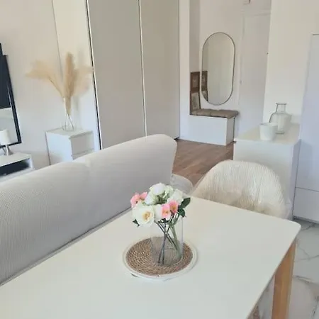 Superbe Luxueux Spacieux 50 M2 Port Apartment Nice