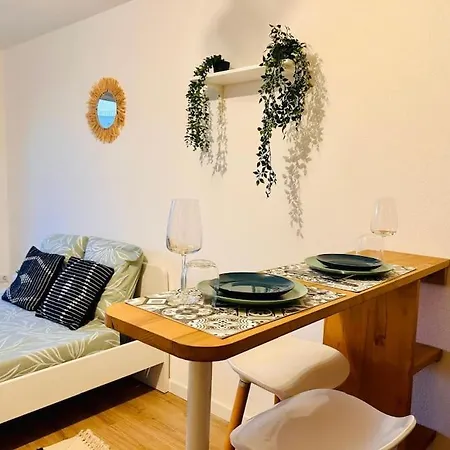 & Serenity - Proche Gare Apartment Nice