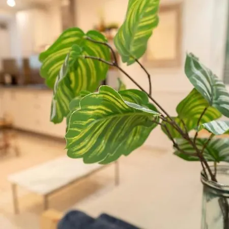 Apartment 2p, Quartier Du Port, Nice