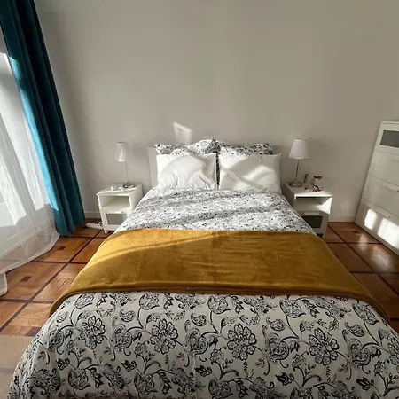 Apartment Sunny Gambetta With 3 Air Conditionings *