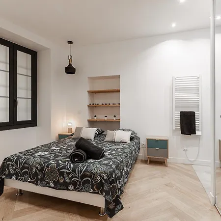 Magnifique Appartement, Centre - Massena 公寓 *