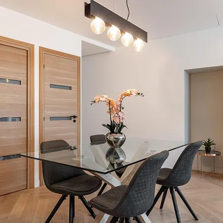 Magnifique Appartement, Centre - Massena 公寓 尼斯