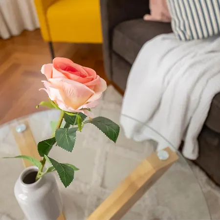 * Le Provencal * Cosy Flat 3 Min Walk From The Sea *
