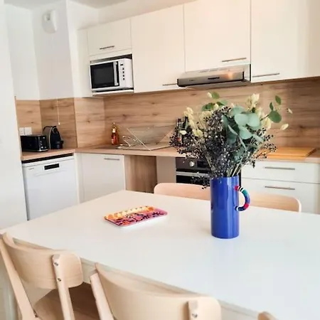 Apartment Magnifique - Parking Prive - Nice