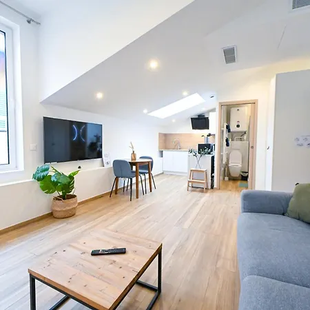 Beau Cozy Centre Et Plages N13 * Nizza