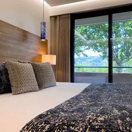 Servotel Saint-vincent 4* Nice