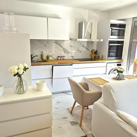 Superbe Luxueux Spacieux 50 M2 Port