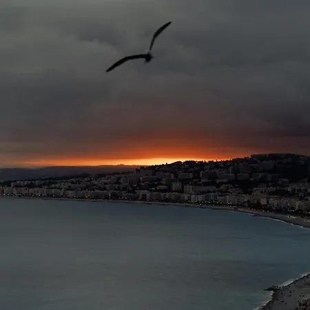 Panzió My Nizza