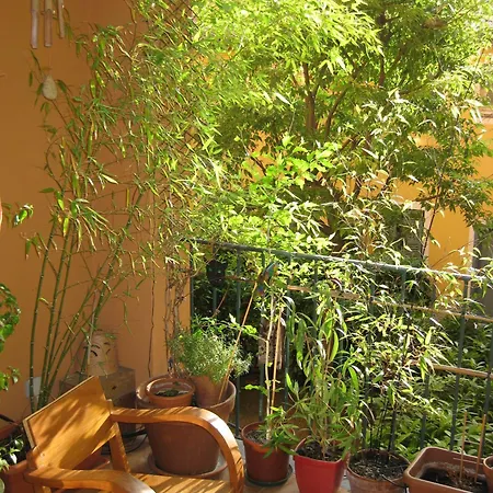 3p Loggia Parking Vieux Nice, Calme Sur Jardin * Nice