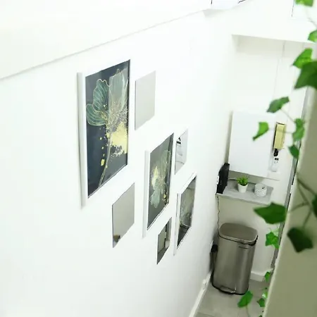 Jungleroom Connecte ! Au Coeur Du Vieux *