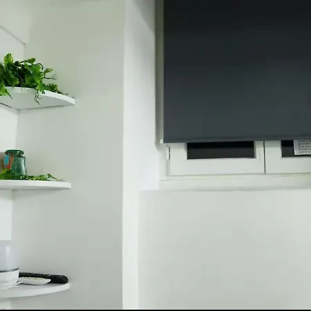 Jungleroom Connecte ! Au Coeur Du Vieux
