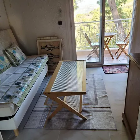 Dans Don Quijote Apartment