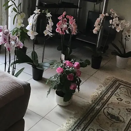 Homestay Port Quartier Antiquaire