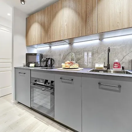 Apartment Hyper Centre-duplex De Charme- Luxe-clim Reversible- 10mn Place Massena