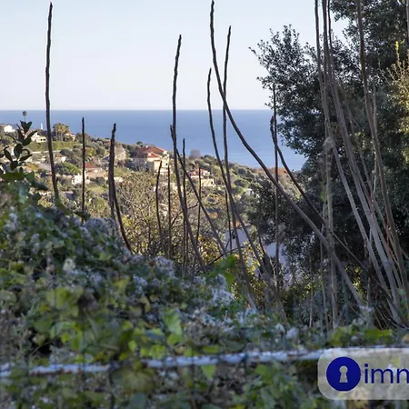 Apartment T3 Air-conditioned On One Level On The Heights Of Nice