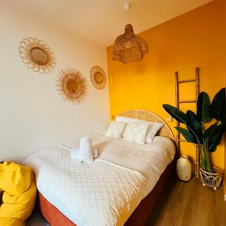 Apartment Climatise Renove -lit Queen Size Nice