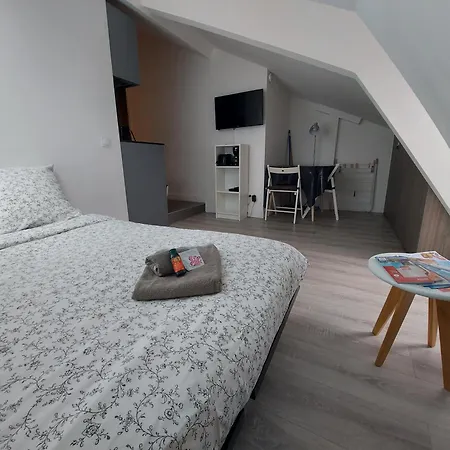 Appartement Centre De : Renove, Climatise Et Calme Nice