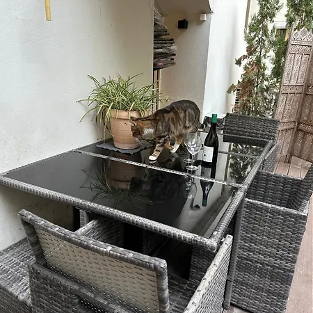 Appartamento Promenade Des With Ac Near Negresco *