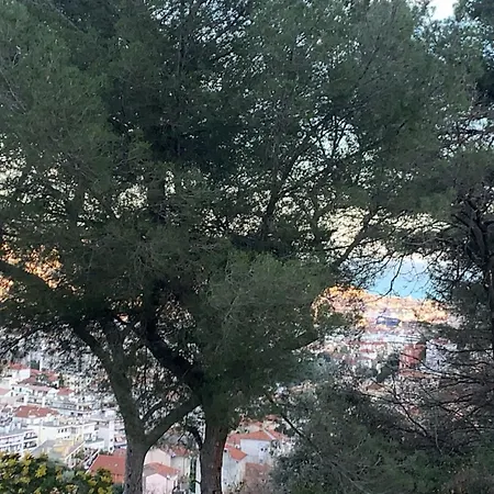 Homestay D Avec Clim Terrasse Et Petit Dejeuner Hauteurs De Nice