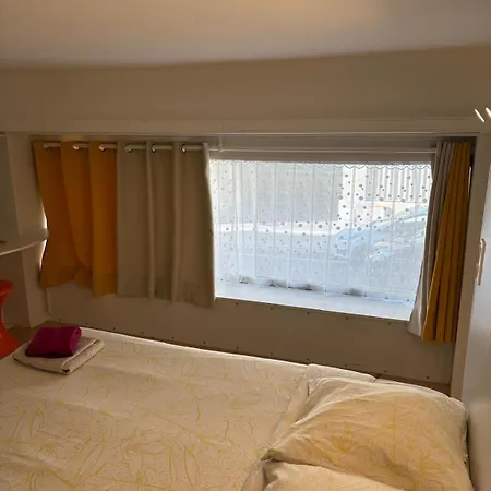 Apartment Musiciens Joli Duplex 2 Garage Privatif Et Terrasse Nice