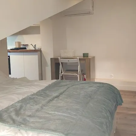 Apartment Gubernatis Centre Nice