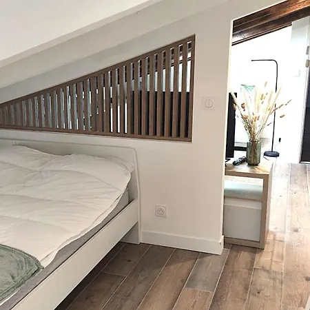 Gubernatis Centre Apartment *