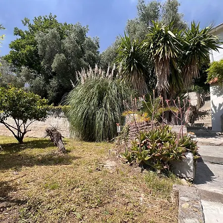 Petit Paradis Au Coeur De Holiday home