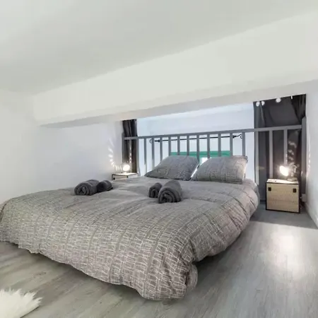 Authentique 2 Piece Dans Le Vieux-nice Apartment Nice
