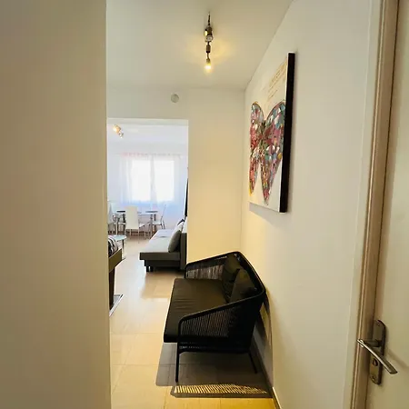 Appartement Grand De 30 M2 Promenade Des