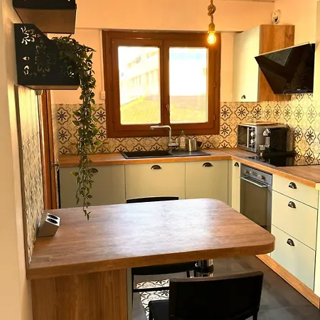 Cosy Appartement, Tram 3 Mn Apartment Nice