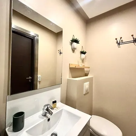 Plein Centre Rue Pietonne * Nizza