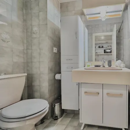 A G Cocon Massenet - Grimaldi - Promenade Des Angl Appartement