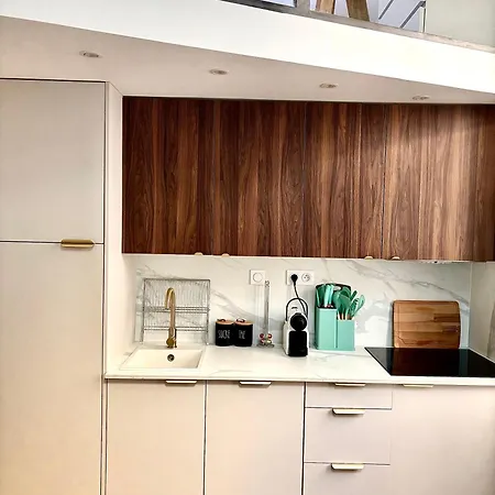 Apartment Duplex Moderne Port De Nice