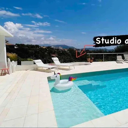 Apartment Charmant Studio A Nice Avec Acces Piscine Nice