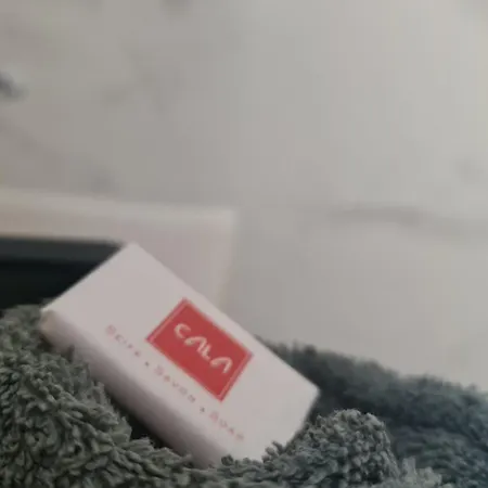 小崔艾诺酒店 2* 尼斯