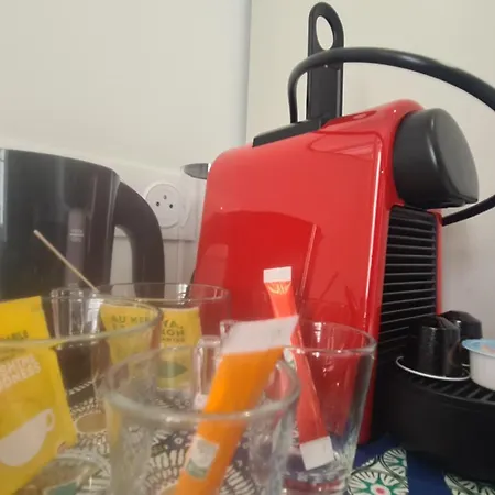 小崔艾诺酒店 尼斯
