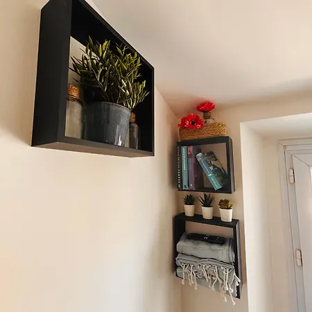 Apartment Coin D'amour Gambetta Nice