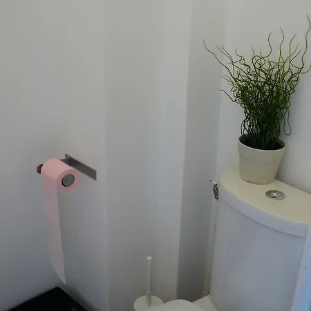 Appartement Oiseau Bleu Nice