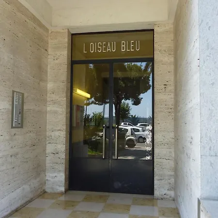 Oiseau Bleu Nice