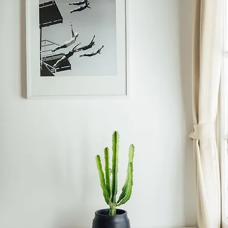 Oli's Flat Nizza