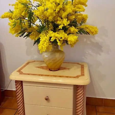 Apartment Rue De France Le Renoir Nice