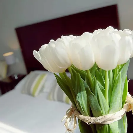 Relais Acropolis