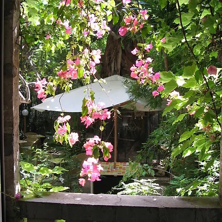 Le Windsor, Jungle Art 4* Nice