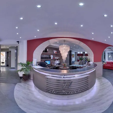 酒店 瑞典酒店 尼斯