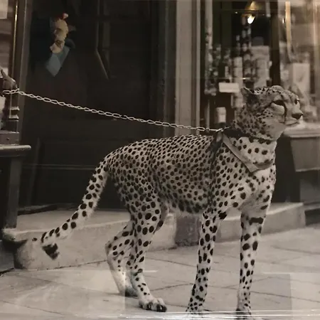 Hotel Le G Nice