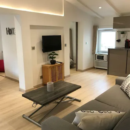 Centre - Massena - 3 Apartment *