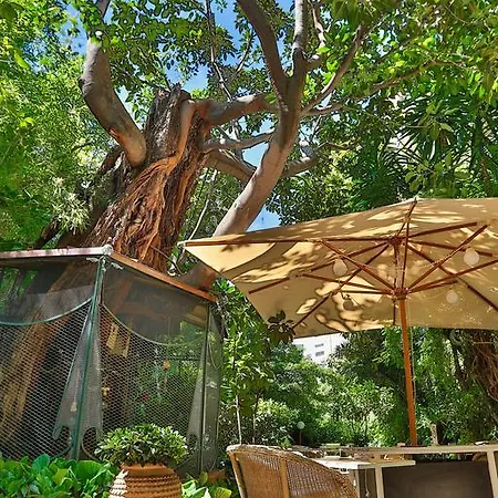 Le Windsor, Jungle Art Otel Nice