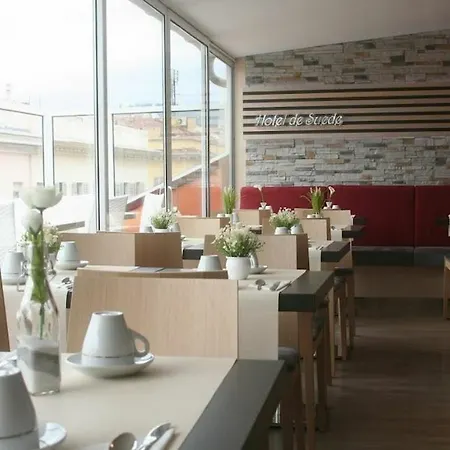 瑞典酒店 酒店 尼斯