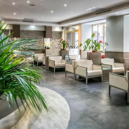 酒店 瑞典酒店 尼斯
