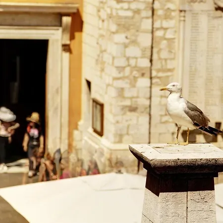 Fontaine - Charming Provencal, Clim, 6 Guest, Old Town Nice